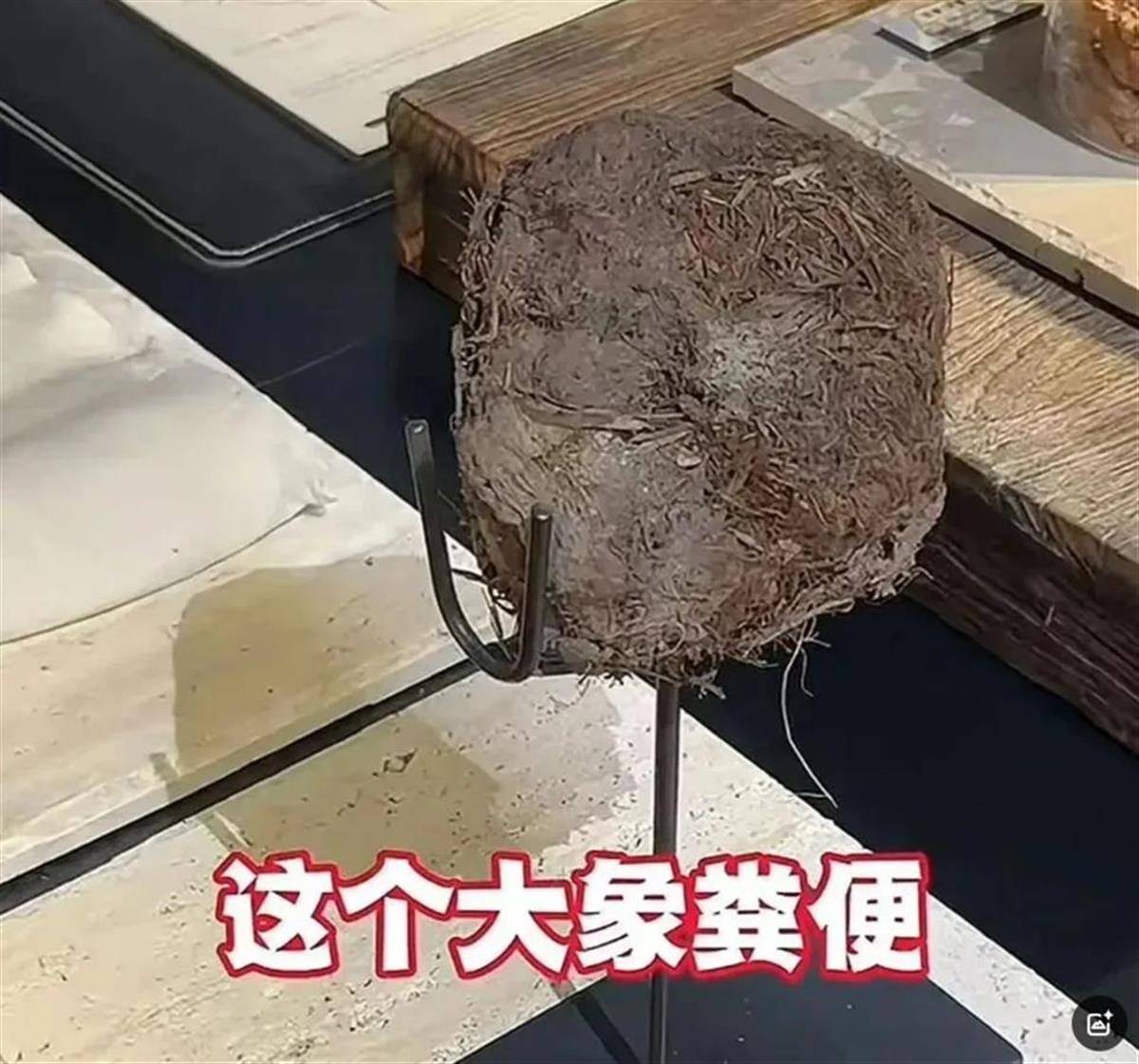 瑞士乙组联赛升级赛
_用大象粪便做甜品的餐厅瑞士乙组联赛升级赛
,因违反《食品安全法》被立案调查