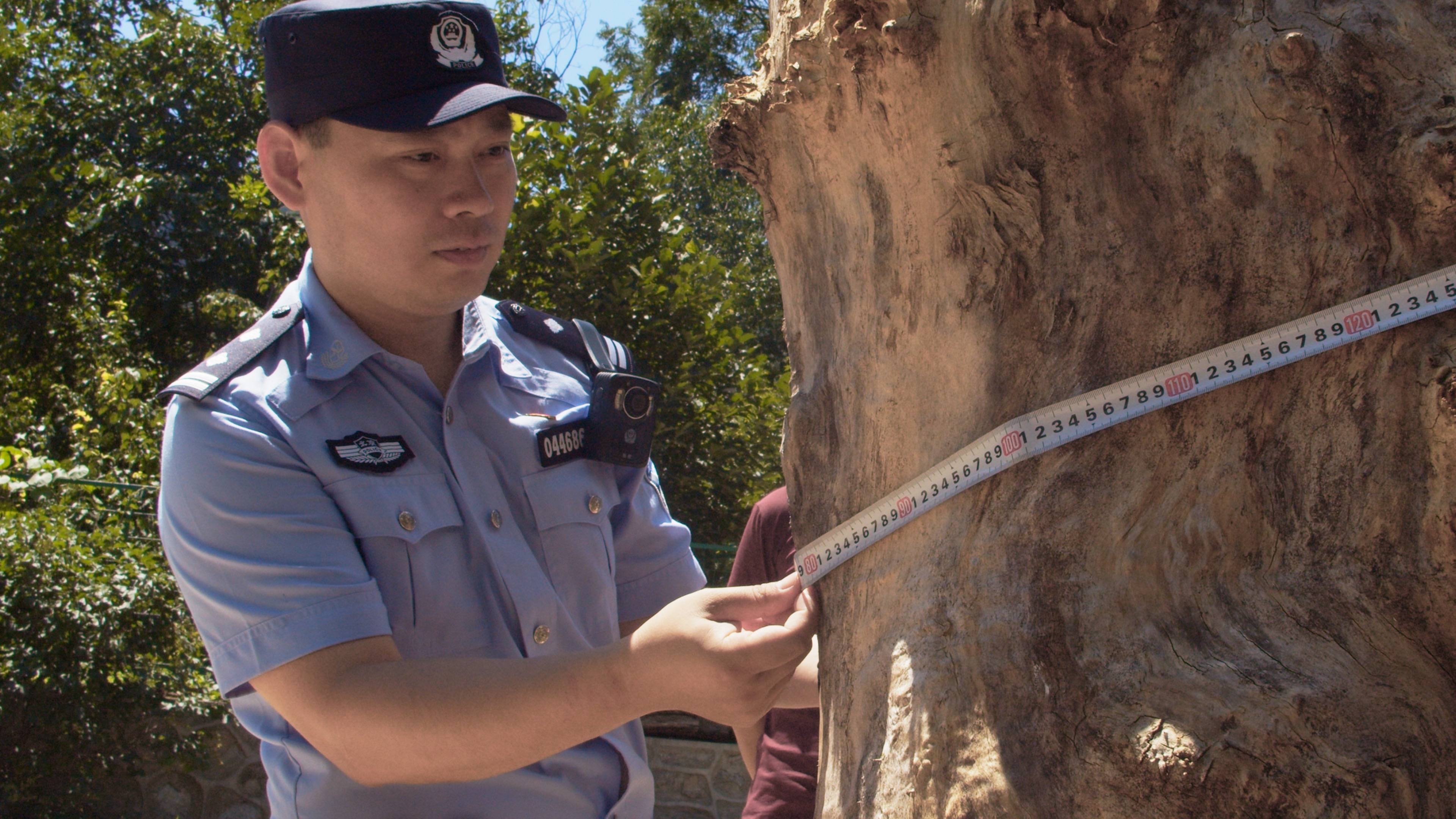 皇冠信用网注册开通_森林警察韩孟祺:乔装成驴友潜伏密林中皇冠信用网注册开通,抓获“粘鸟”嫌疑人