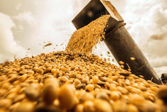 日本J2联赛_攻守易型了！中国又走了一步好棋日本J2联赛，出手签下3万吨大单，太罕见