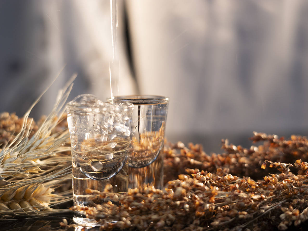 诺丁汉森林vs布伦特福德_白酒巨头“扎堆”光瓶酒：59元洋河卖爆了诺丁汉森林vs布伦特福德，有烟酒店老板半个月补货四次