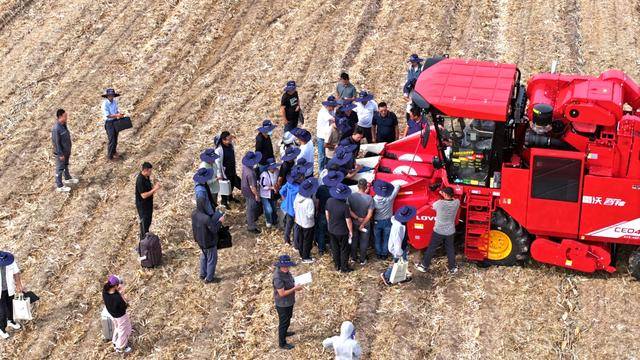 皇冠体育App下载_全国26家实验室参与皇冠体育App下载！由雷沃支持的这场“田间论剑”举行