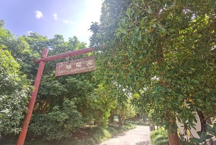 皇冠信用盘开户_上海天气大反转！雨水+冷空气来袭皇冠信用盘开户，气温将骤降...“差不多行了，再热就不礼貌了”