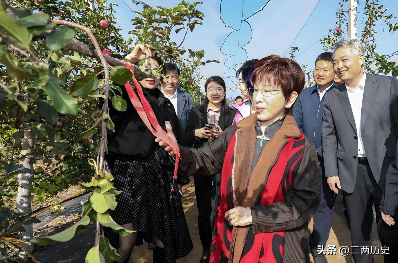 皇冠皇冠代理平台_郑丽文人间清醒：如果去大陆皇冠皇冠代理平台，能见到谁不重要，重要的是代表谁去