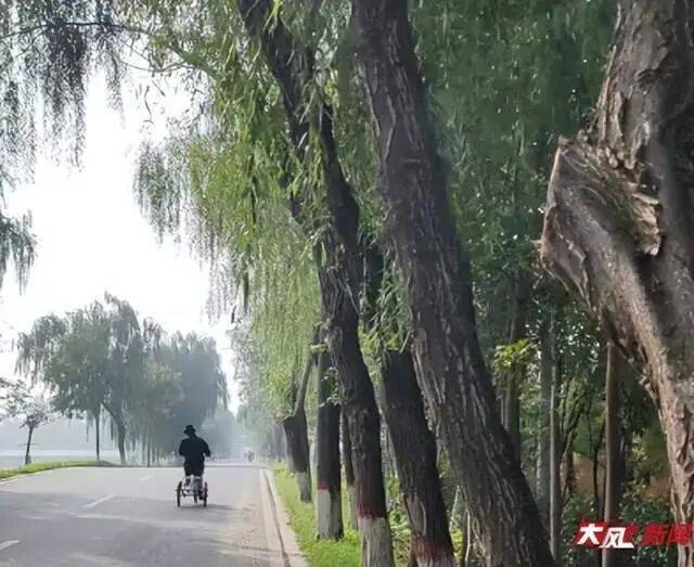 皇冠信用網网址_陕西兴平56岁女教师骑电动车“撞树枝”身亡皇冠信用網网址，交警判定担主责，家属提出诸多质疑，多方回应