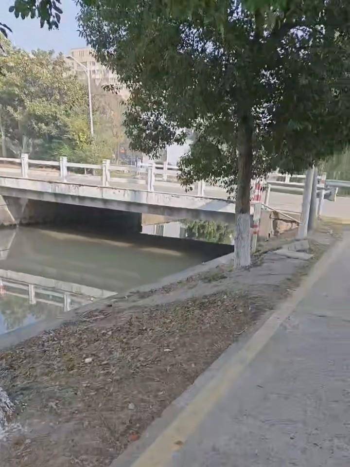 皇冠信用网如何注册
_江苏一对姐妹驾三轮车不慎坠河皇冠信用网如何注册
,三名老人合力施救:别人有危险帮忙是本能