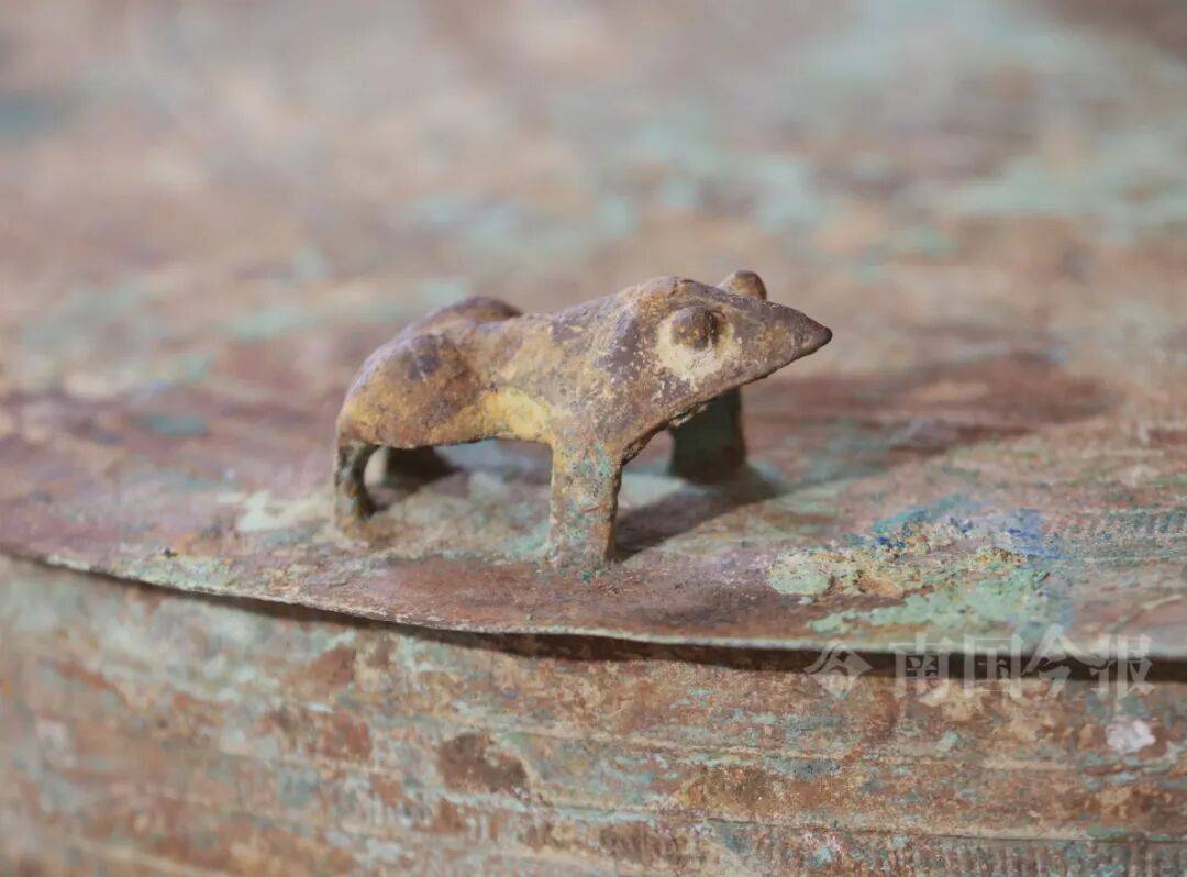 皇冠信用登2代理_柳州钓鱼阿叔竹林挖蚯蚓皇冠信用登2代理，竟挖出千年前的“大宝贝”！