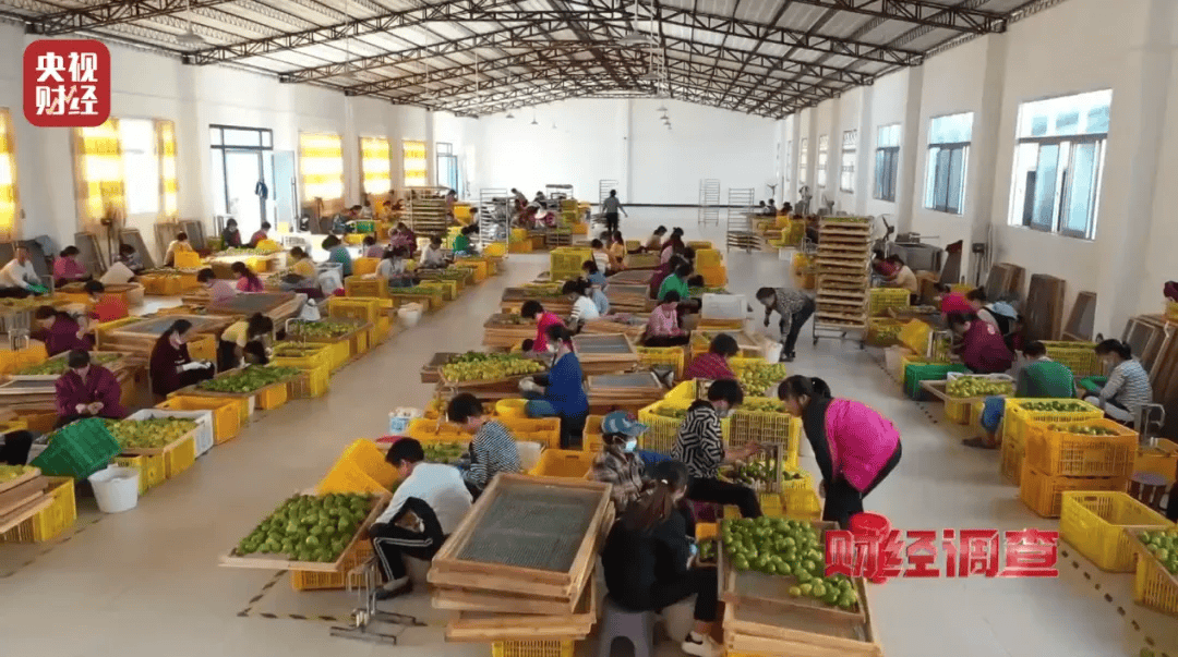 皇冠信用盘登2_广西浦北凌晨通报——