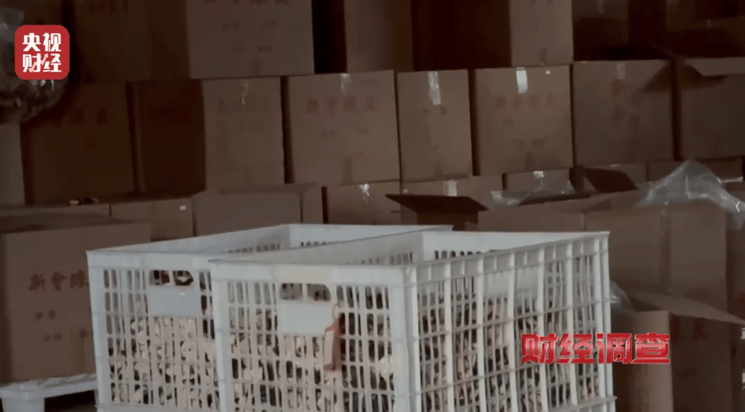 皇冠信用盘登2_广西浦北凌晨通报——