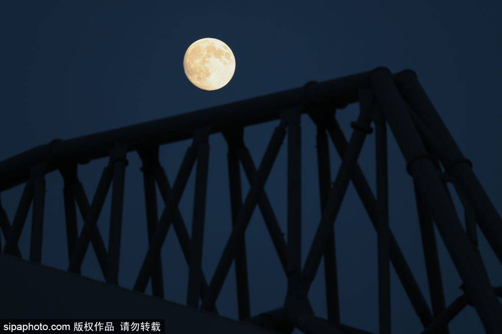 世界杯皇冠信用网平台_斯洛特换人引众怒世界杯皇冠信用网平台，利物浦球迷大失所望：0-0平局背后的战术失误与球迷心声