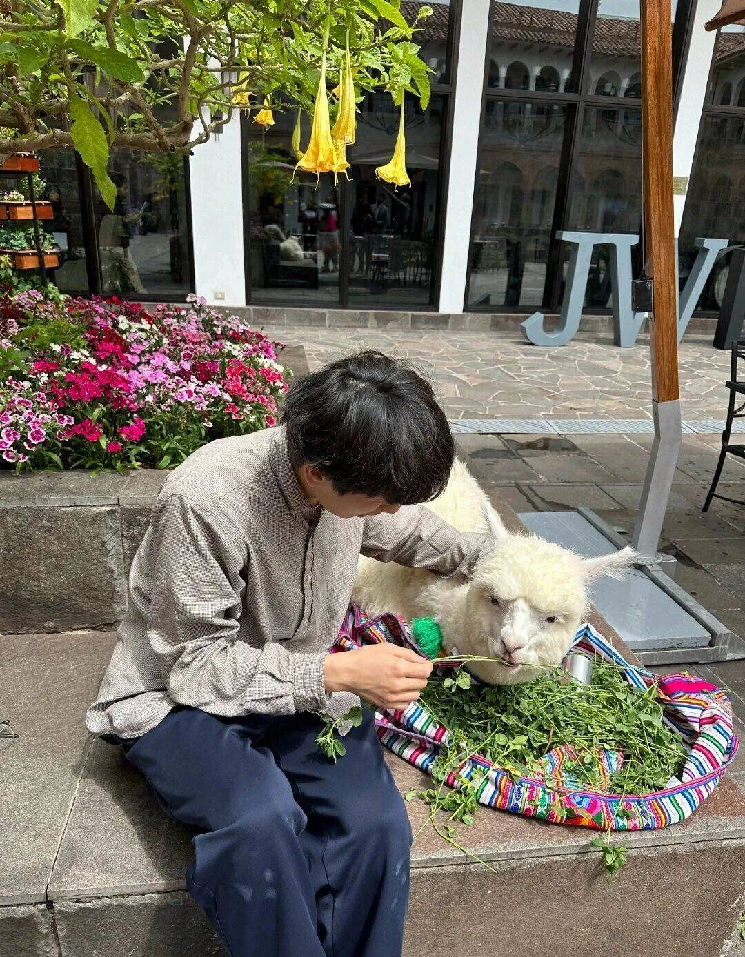 怎么开通皇冠信用网口
_“中韩混血上海人”火遍全网怎么开通皇冠信用网口
,他才是真正的“多邻国”