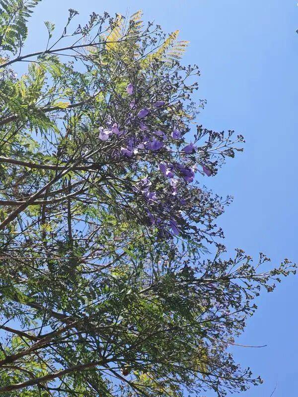 皇冠信用网在线开户_昆明一公园长期大门紧锁!有市民称已关闭6年皇冠信用网在线开户,管理方回应丨早读新闻4.8