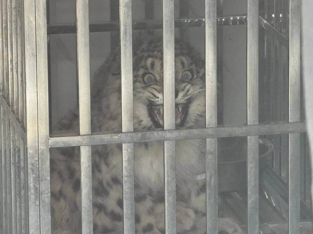 皇冠信用网在线开户_昆明一公园长期大门紧锁!有市民称已关闭6年皇冠信用网在线开户,管理方回应丨早读新闻4.8